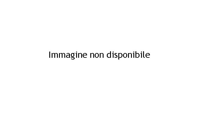 Perforatrice MI30 Massenza su cingolato